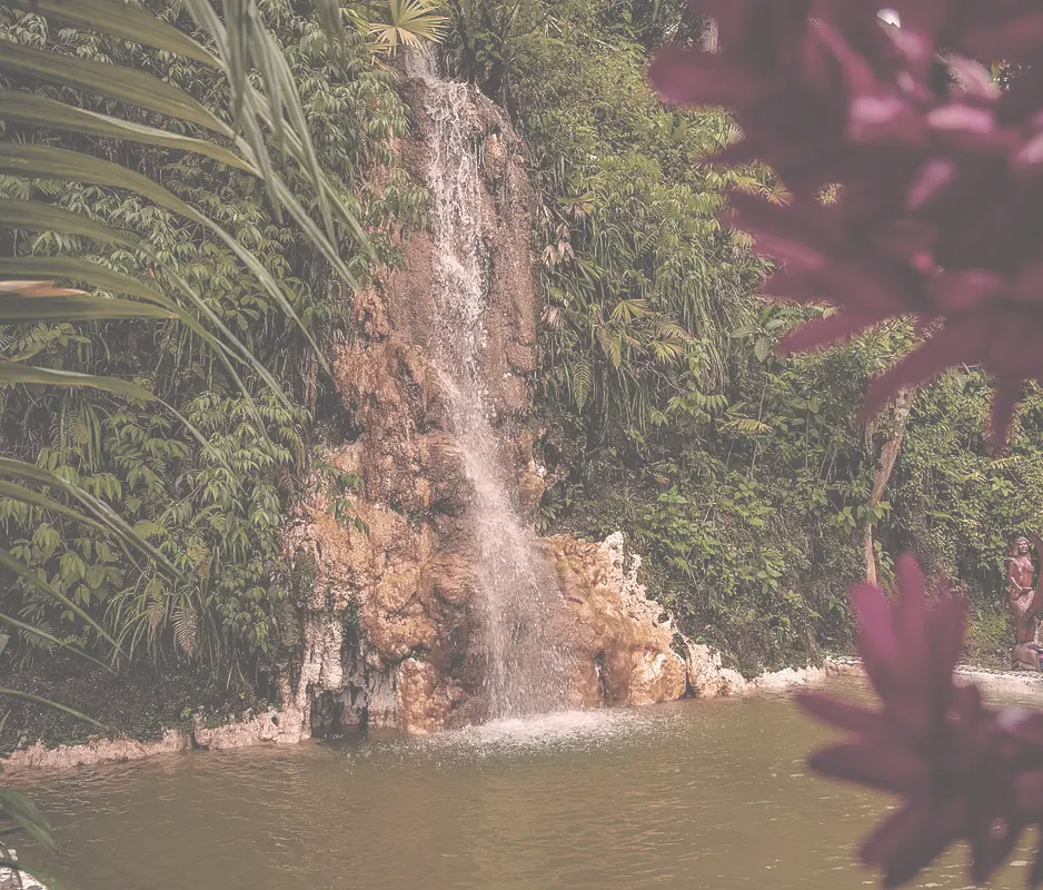 catarata-tarapoto-nosotros