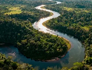 Vista aérea del río serpenteante atravesando la selva amazónica peruana con densa vegetación tropical