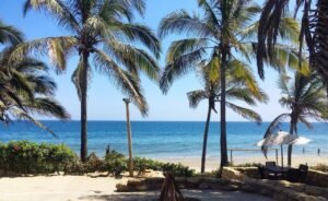 Palmeras frente al mar en una playa soleada de Piura, Perú