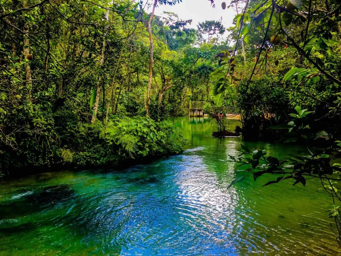 Tarapoto Naturaleza